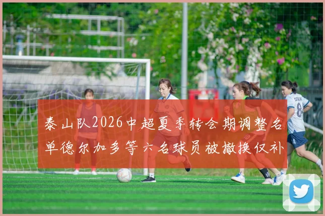 泰山队2026中超夏季转会期调整名单德尔加多等六名球员被撤换仅补报郝富博