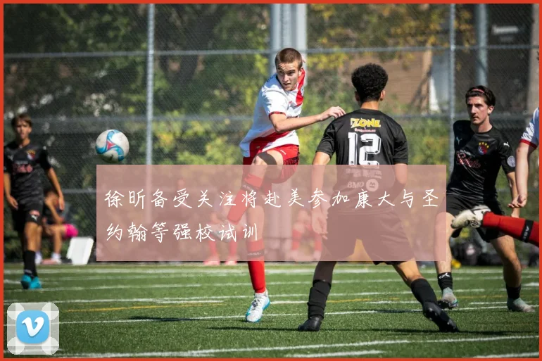 徐昕备受关注将赴美参加康大与圣约翰等强校试训