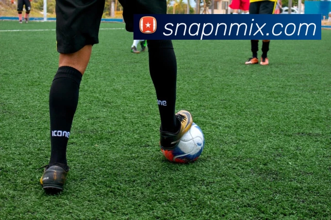 星空体育官方网页版发展历程